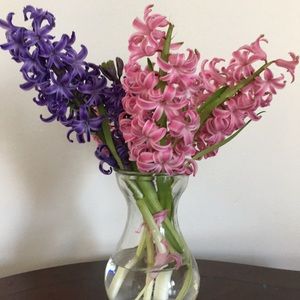 Meet your Posher, Courtney